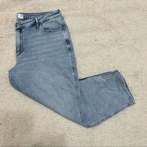 Hollister Mom Jean (Size 17 Short)